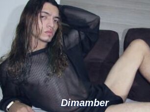 Dimamber