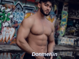 Donmerlin