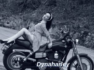 Dynaharley