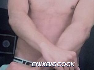 ENIXBIGCOCK