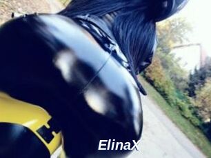 ElinaX