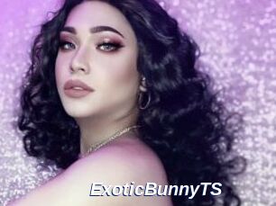 ExoticBunnyTS