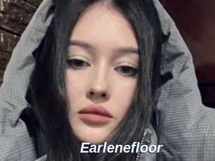 Earlenefloor