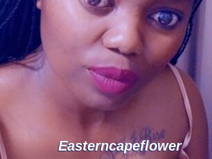 Easterncapeflower