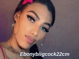 Ebonybiigcock22cm