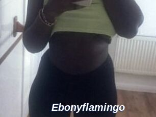 Ebony_flamingo