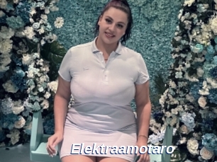 Elektraamotaro