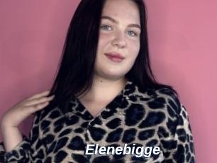 Elenebigge