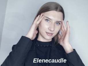 Elenecaudle