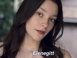 Elenegitt