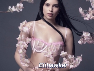 Elihawker