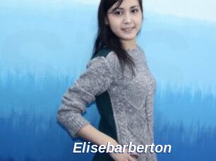 Elisebarberton