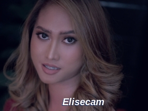 Elisecam