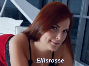 Ellisrosse