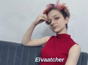 Elvaatcher