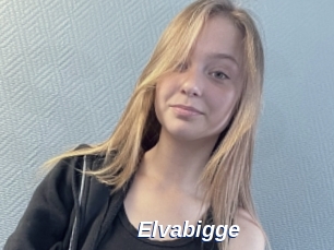 Elvabigge