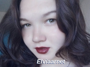 Elviaarnet