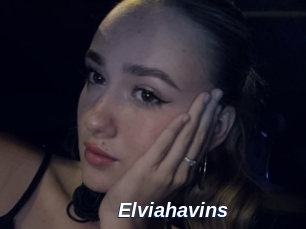 Elviahavins