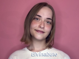 Elvinabute