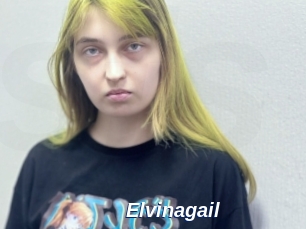 Elvinagail