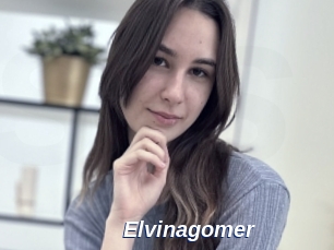 Elvinagomer