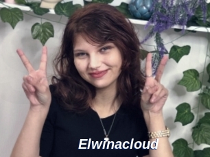 Elwinacloud