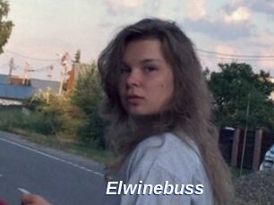 Elwinebuss