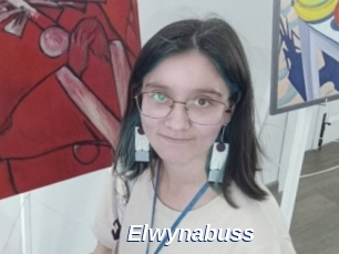 Elwynabuss