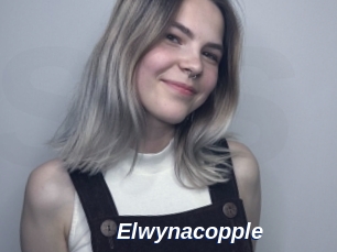 Elwynacopple