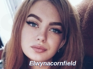 Elwynacornfield