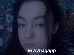 Elwynagapp