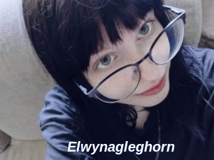 Elwynagleghorn