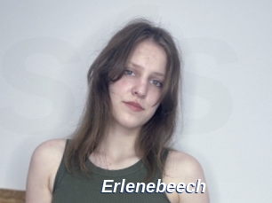 Erlenebeech