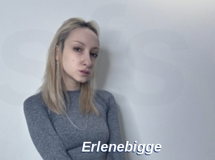 Erlenebigge