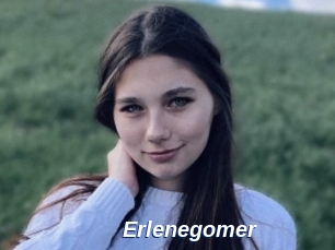 Erlenegomer