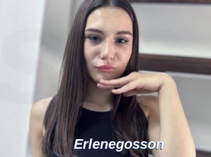 Erlenegosson