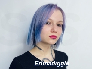 Erlinadiggle