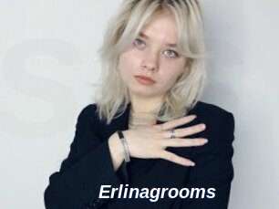 Erlinagrooms