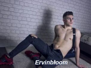 Ervinbloom