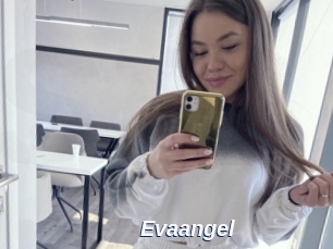 Evaangel