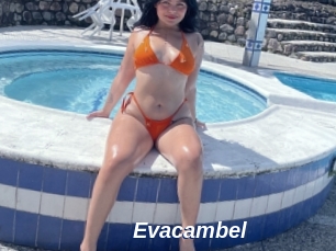 Evacambel