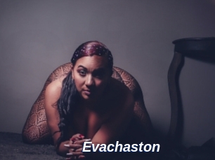 Evachaston