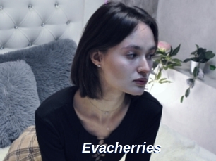 Evacherries