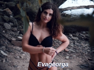 Evageorga