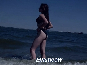 Evameow