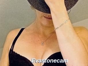 Evastonecam