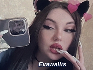 Evawallis