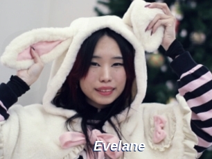 Evelane