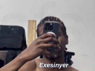 Exesinyer