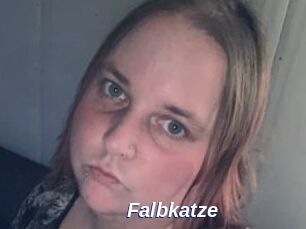 Falbkatze